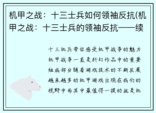 机甲之战：十三士兵如何领袖反抗(机甲之战：十三士兵的领袖反抗——续写)