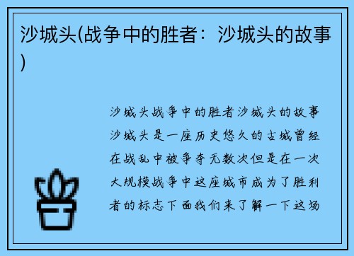 沙城头(战争中的胜者：沙城头的故事)