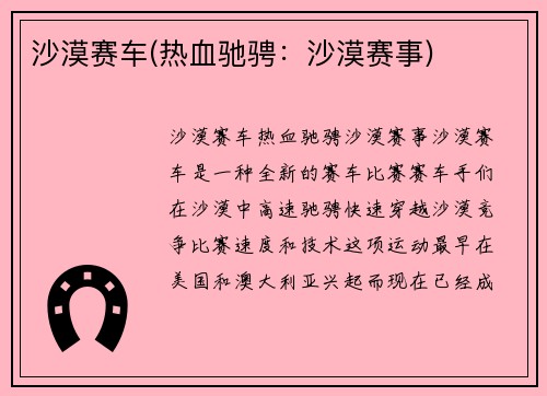 沙漠赛车(热血驰骋：沙漠赛事)